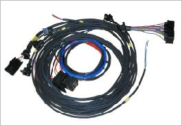 OMEX 600 Engine Wiring Harness For Ford Zetec